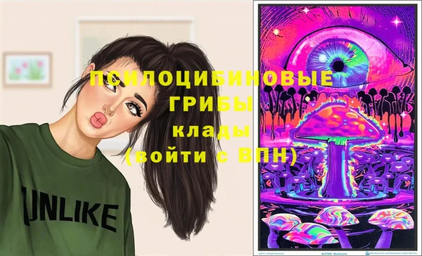 спиды Аркадак