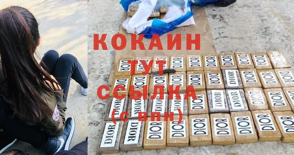 спиды Аркадак