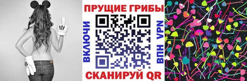 Галлюциногенные грибы Cubensis  Нягань 